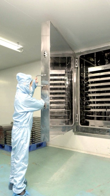 Operator at the freeze-dryer chamber door